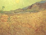 Vincent Van Gogh Wheat Fields with Reaper at Sunrise (nn04) oil painting reproduction